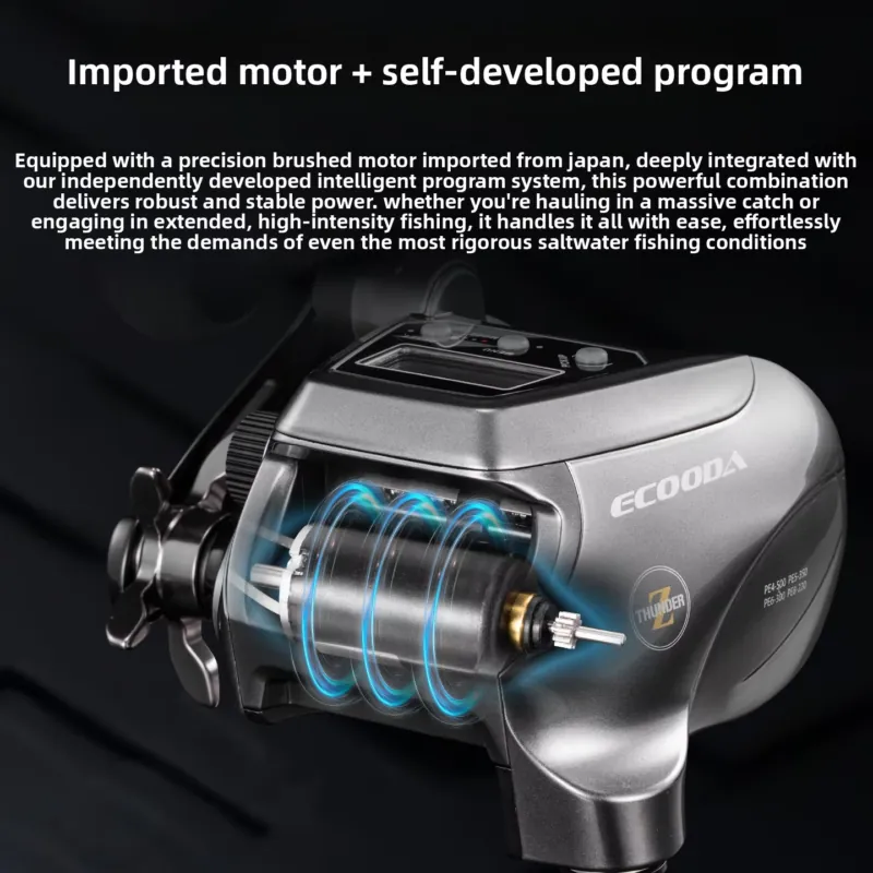 【2026 Hot Selling】 Ecooda New  - Electric Reel 评论和价格